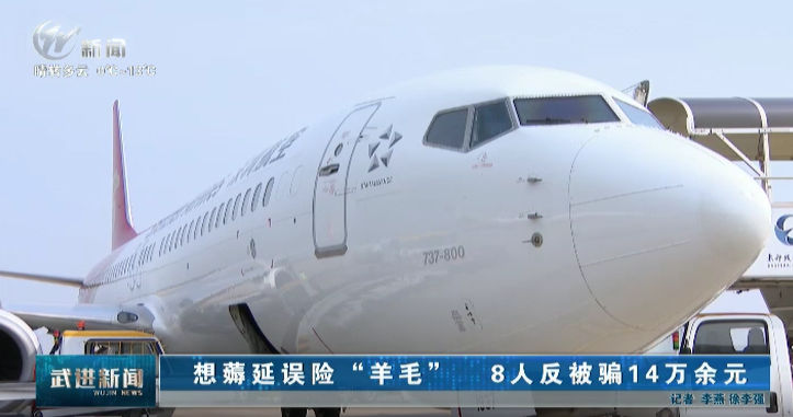 想薅延誤險(xiǎn)“羊毛” 8人反被騙14萬余元